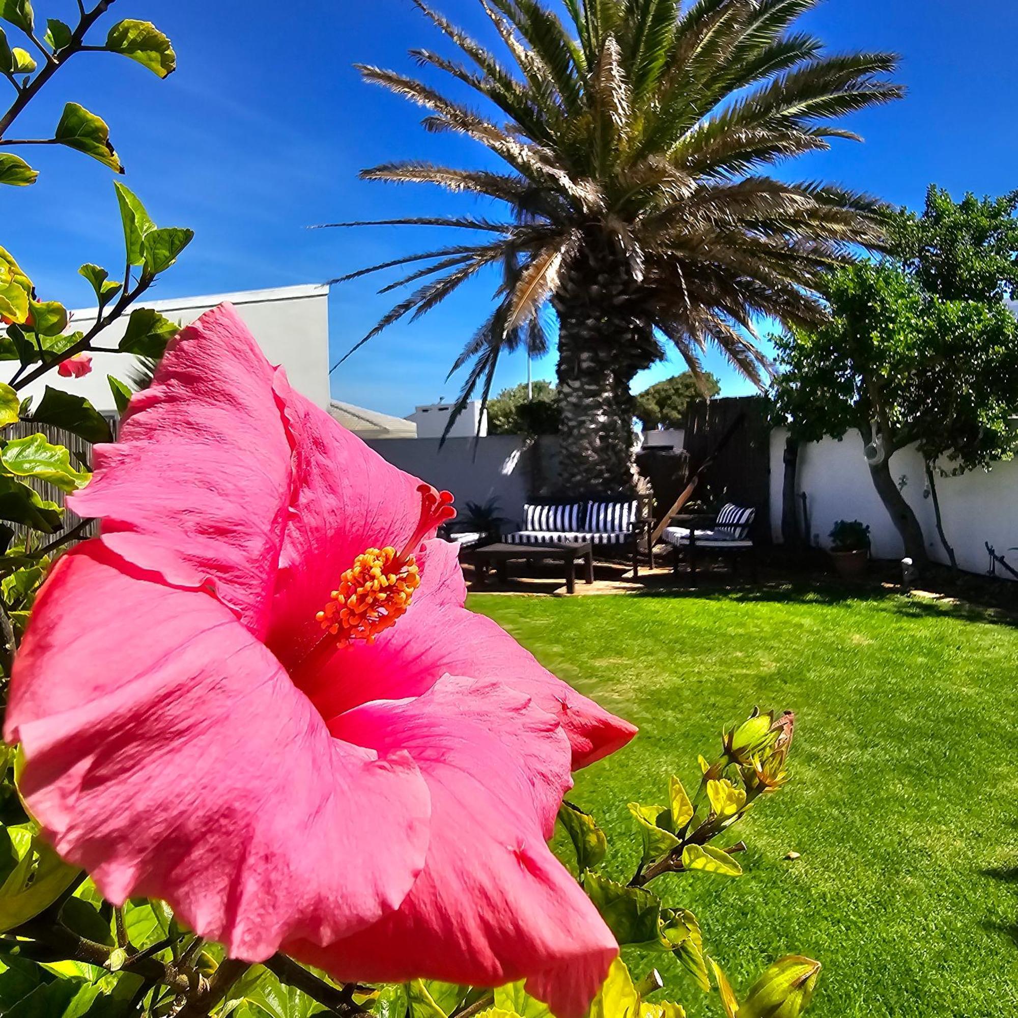 Swept Away Guesthouse - No-Loadshedding Yzerfontein Exterior photo